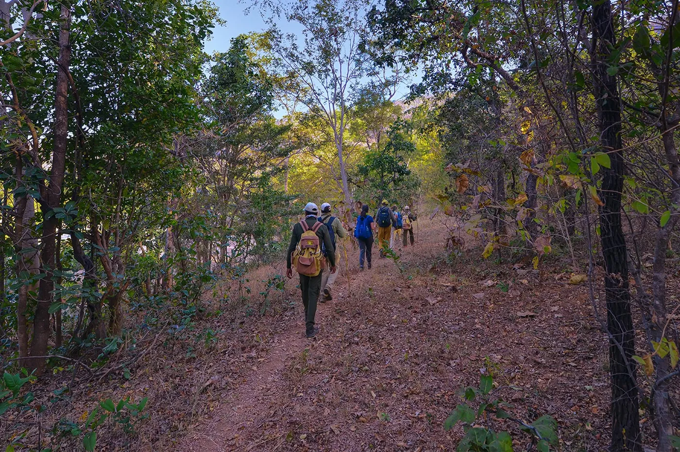 Nature Walk