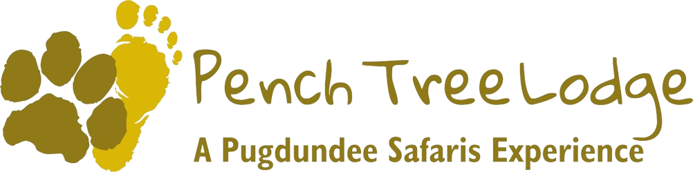 Pench Tree Lodge