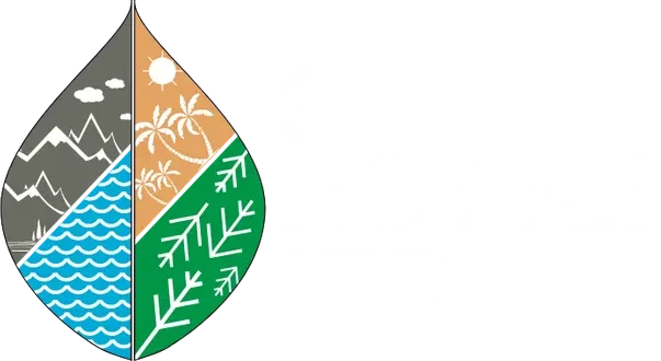 Saj In the Forest Pench