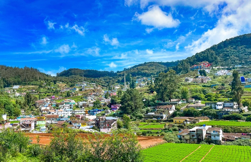 Ooty