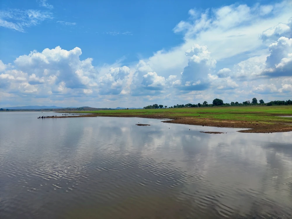 Landscape at Bandipur National Park