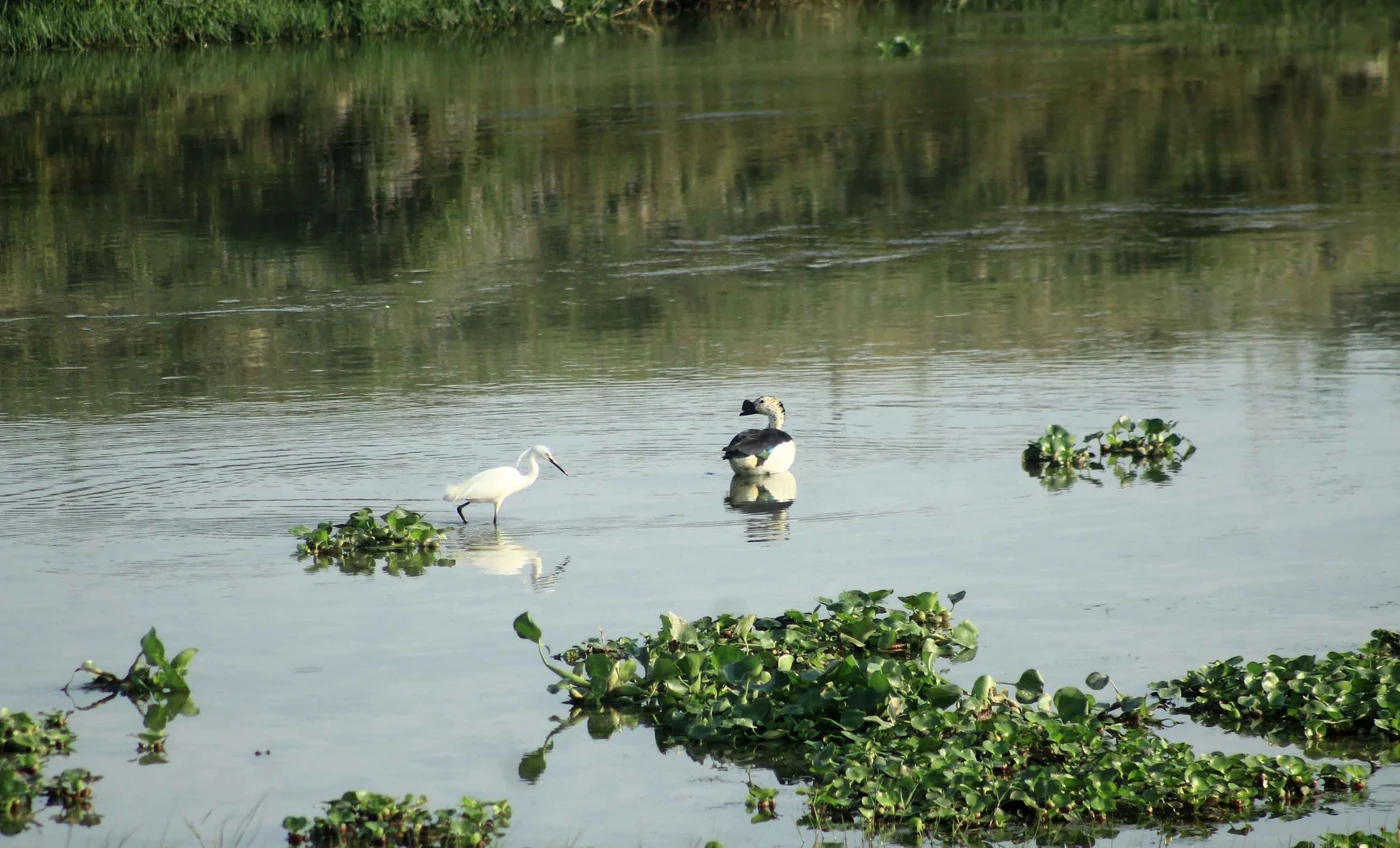 Suheli River