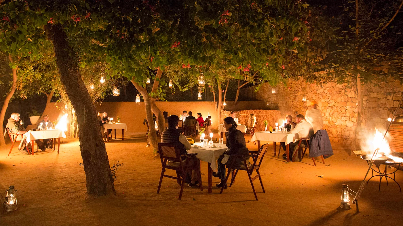 Bush Dinner