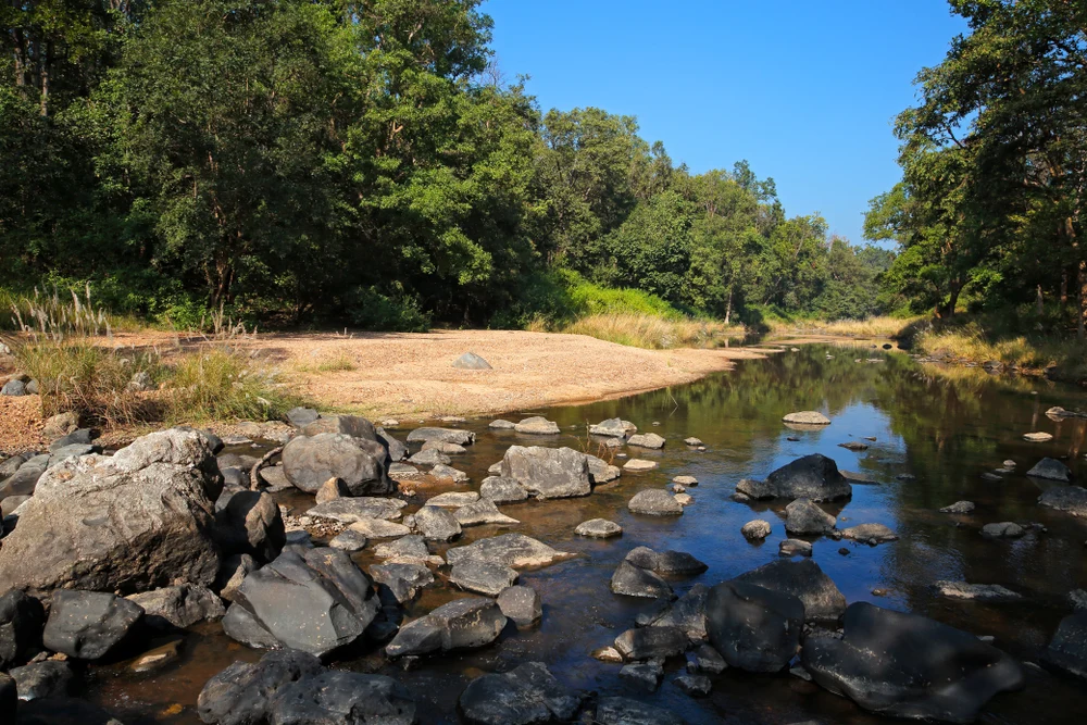 Landscape in Kanha National Park