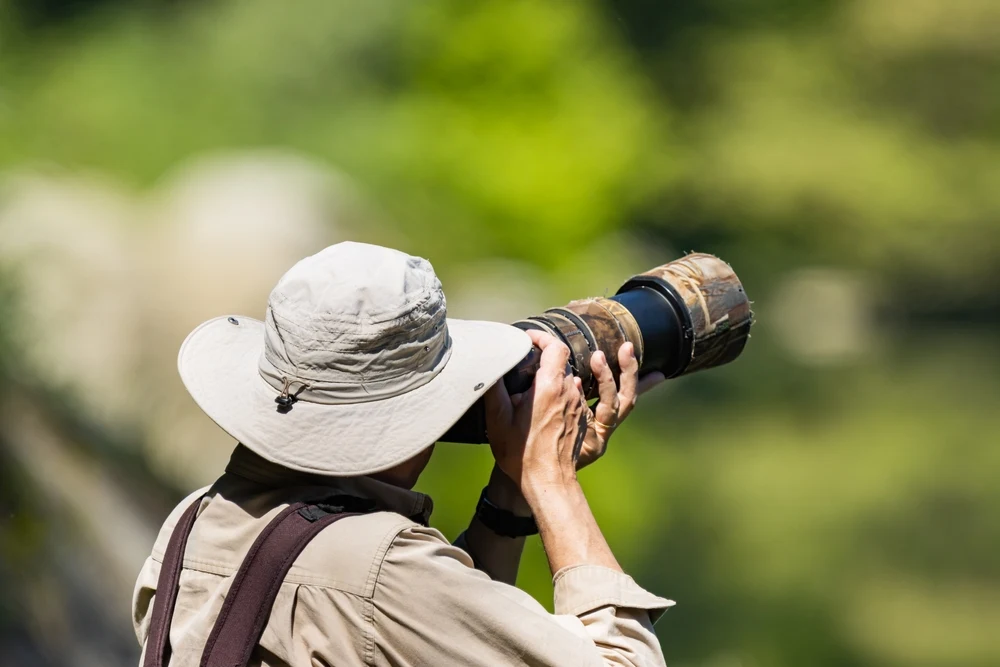 Wildlife Photography