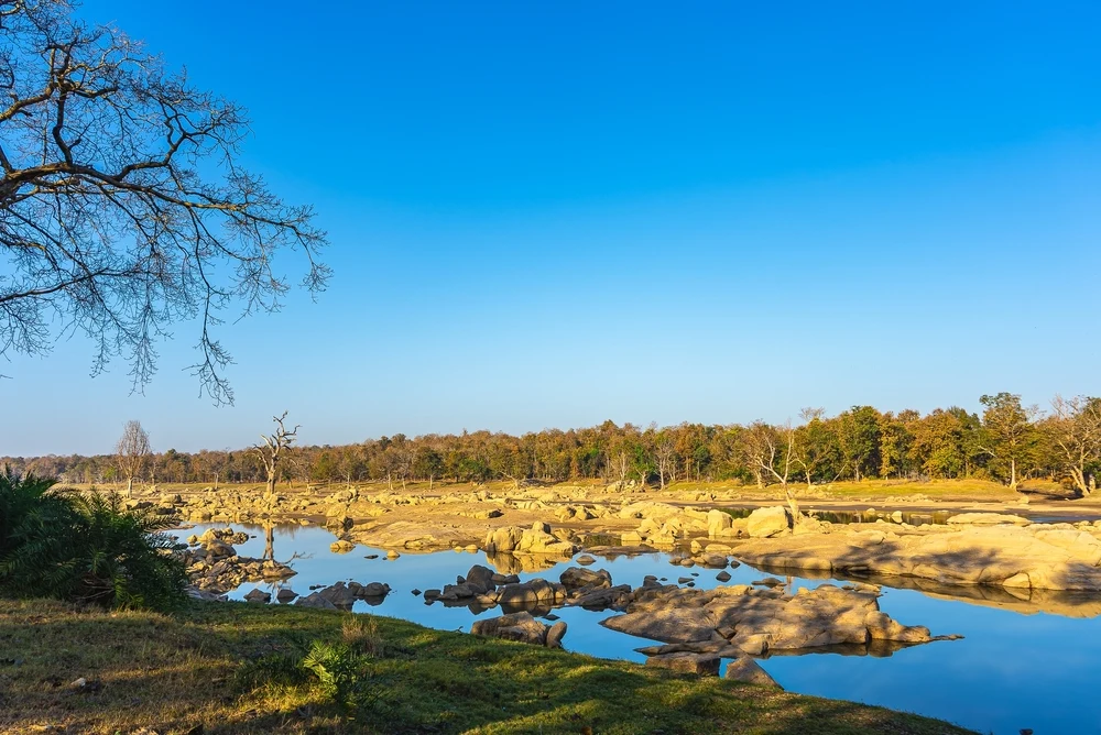 Pench River
