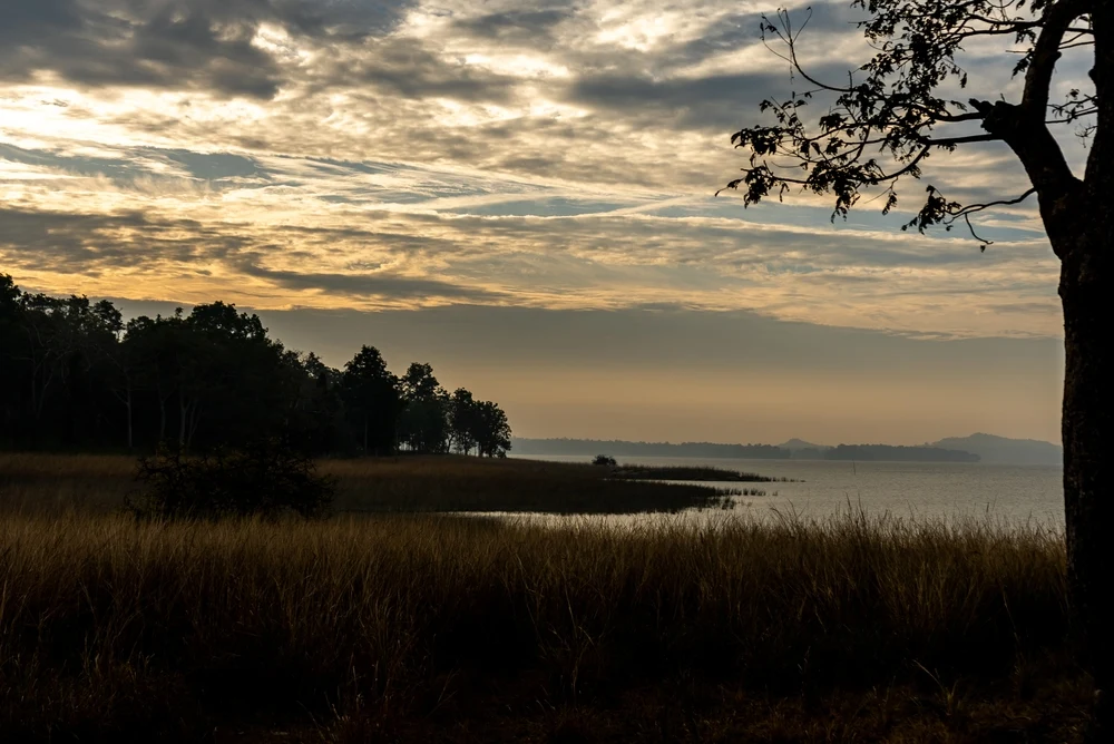 Landscape in Pench Tiger Reserve