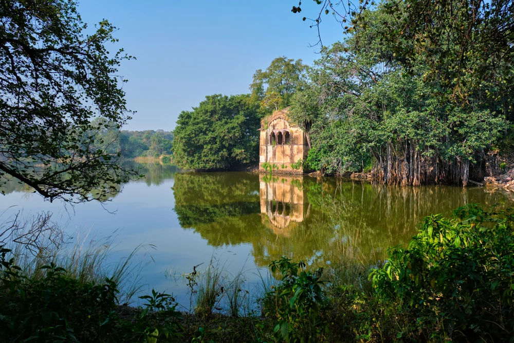 Raj bagh ruins Ranthambore