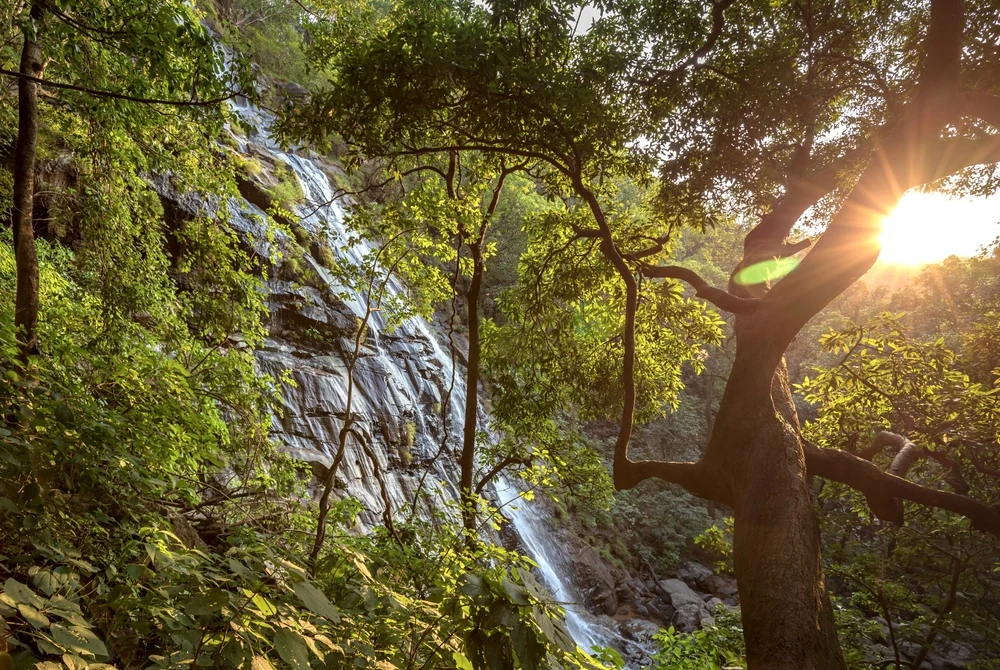 Bee Falls