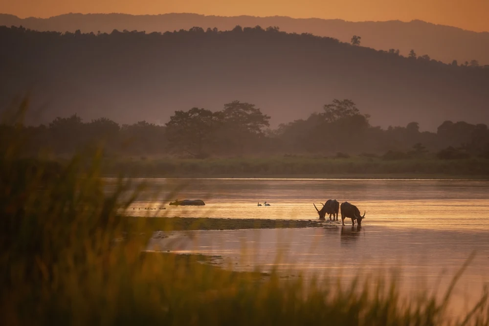 Nameri National Park in Assam