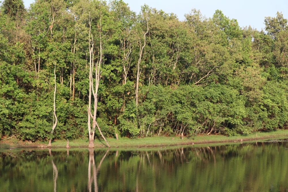 Sepahijala Wildlife Sanctuary in Tripura
