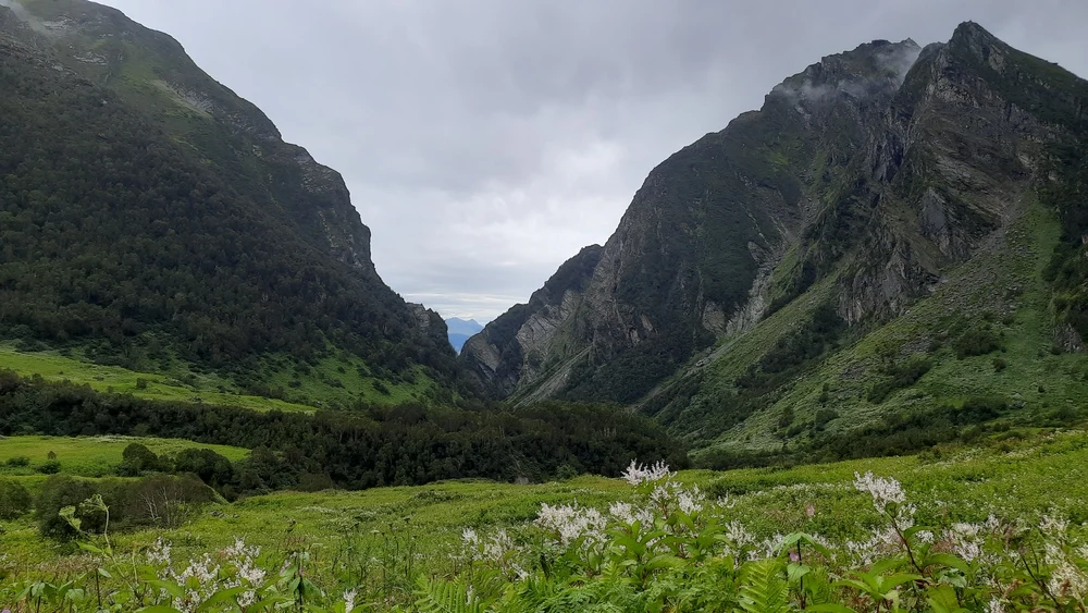 Nanda Devi National Park in Uttarakhand
