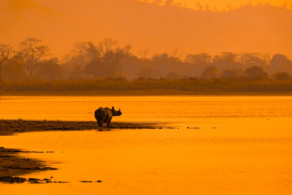 Orang National Park