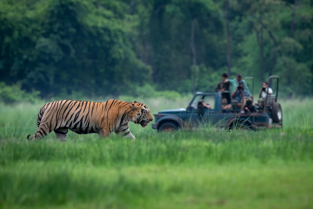 Ratapani Tiger Reserve