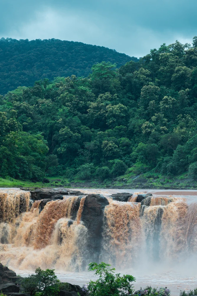 Vansda National Park