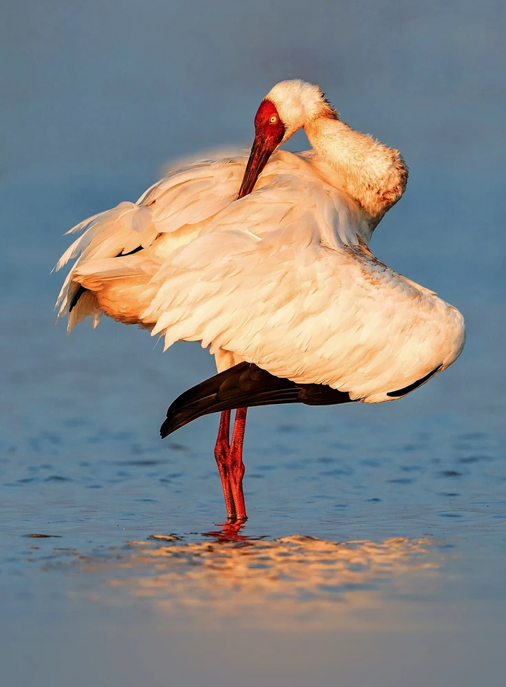 Sultanpur National Park