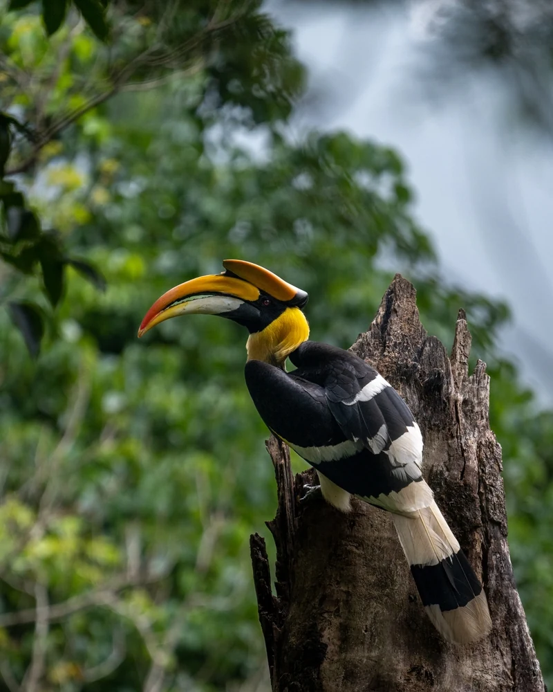 Ntangki National Park