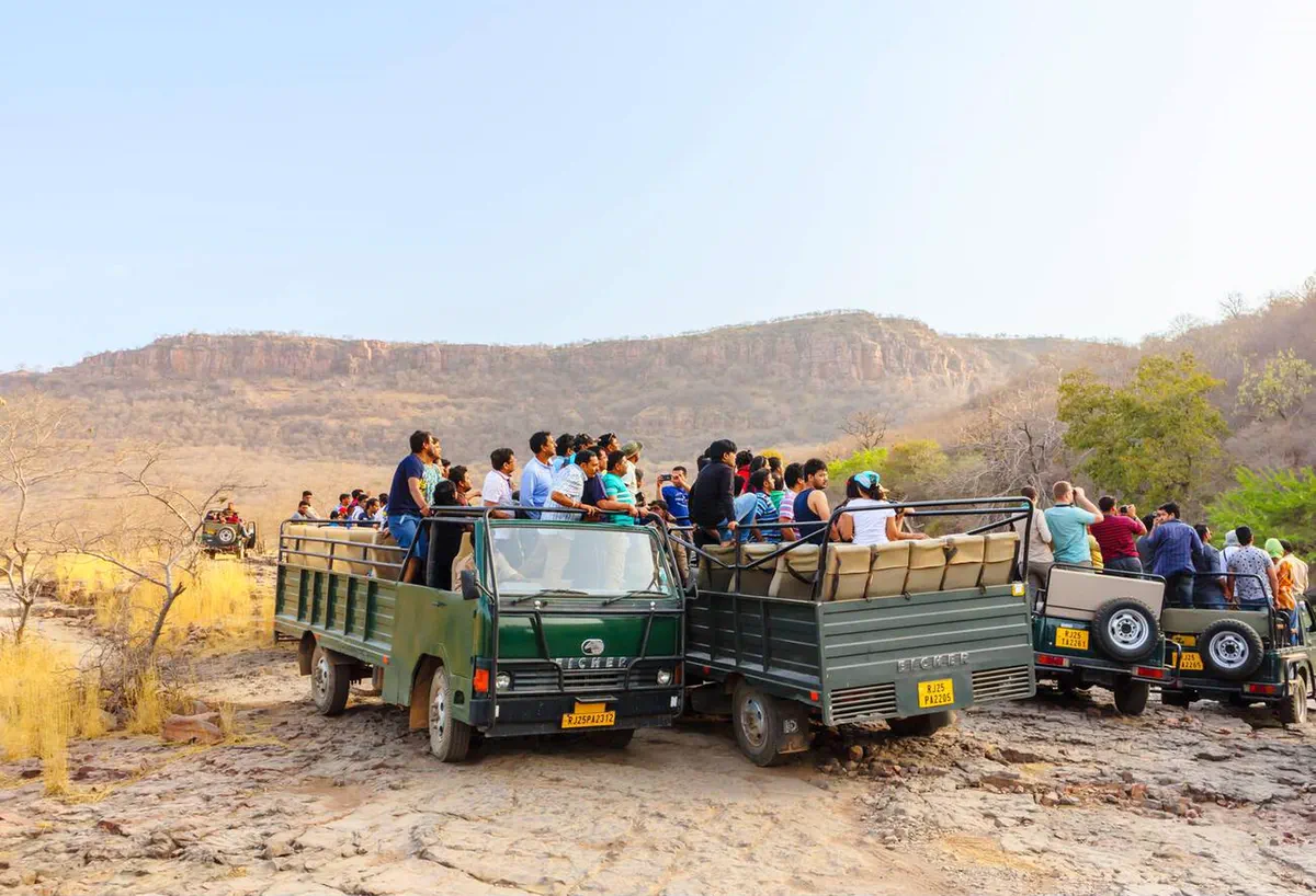 Corporate team gathered beside a jeep on a group safari drive