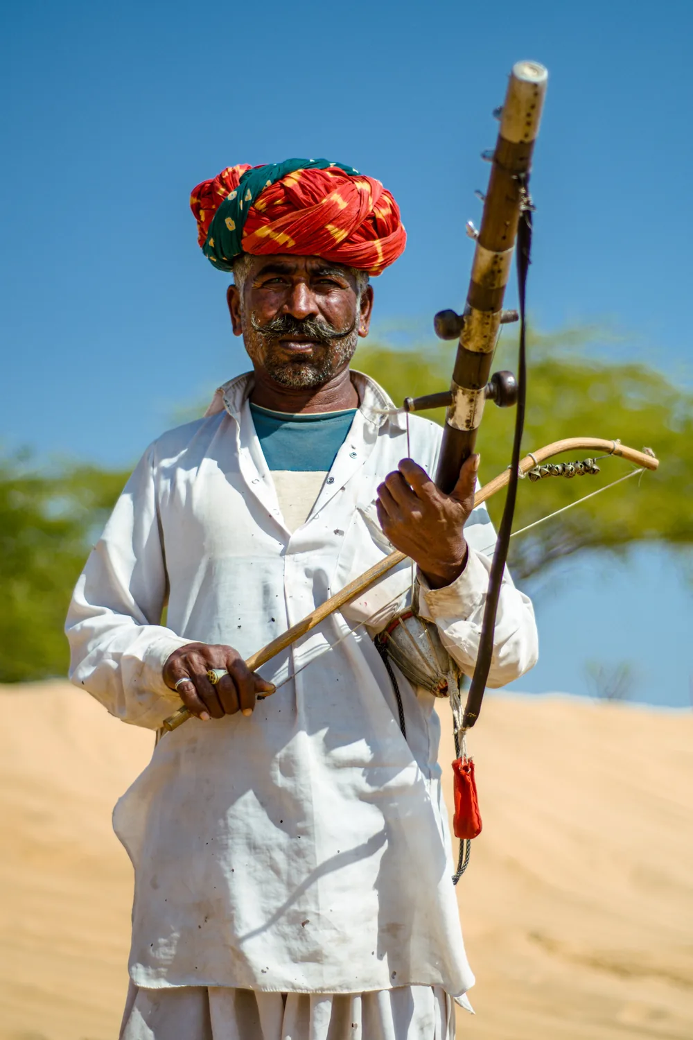 Jaisalmer and Desert National Park heritage and wildlife pairing