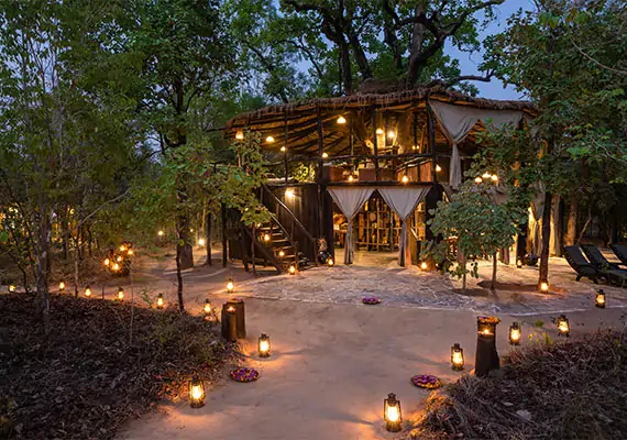 Treehouse Suites