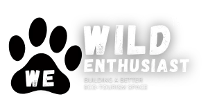 Building a better eco-tourism space